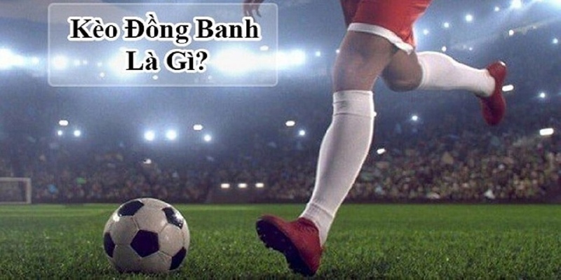 Hướng dẫn cách chơi kèo đồng banh hiệu quả cho tân thủ Kèo đồng banh là gì?