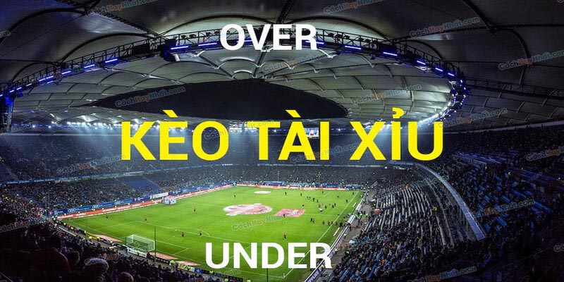 Cách tính kèo tài xỉu trong bóng đá dễ hiểu và mới nhất 2024 kèo tài xỉu