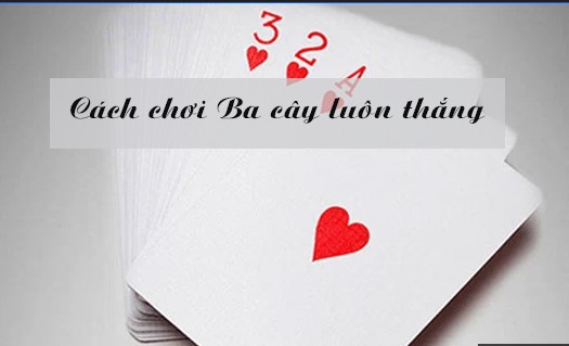 Hướng dẫn cách chơi 3 cây luôn thắng dành cho tân thủ Tìm hiểu về bài 3 cây