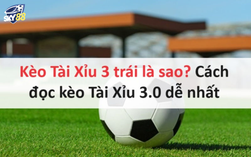 Tài Xỉu 3 Trái: Hướng dẫn cách chơi dành cho anh em cược thủ Tài Xỉu 3 Trái Và Những Thông Tin Bạn Không Nên Bỏ Lỡ