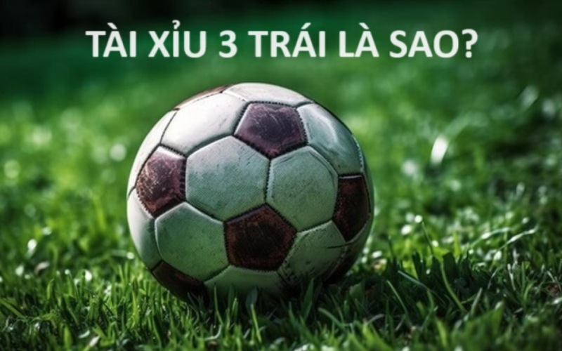 Tài Xỉu 3 Trái: Hướng dẫn cách chơi dành cho anh em cược thủ Tài xỉu 3 trái được đánh giá cao về tính thú vị, hấp dẫn