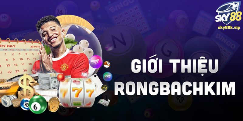 Rồng Bạch Kim - Công Cụ Bắt Cầu Lô Đề Hữu Dụng Cho Bet Thủ 3 phương pháp bắt cầu xổ số phổ biến nhất