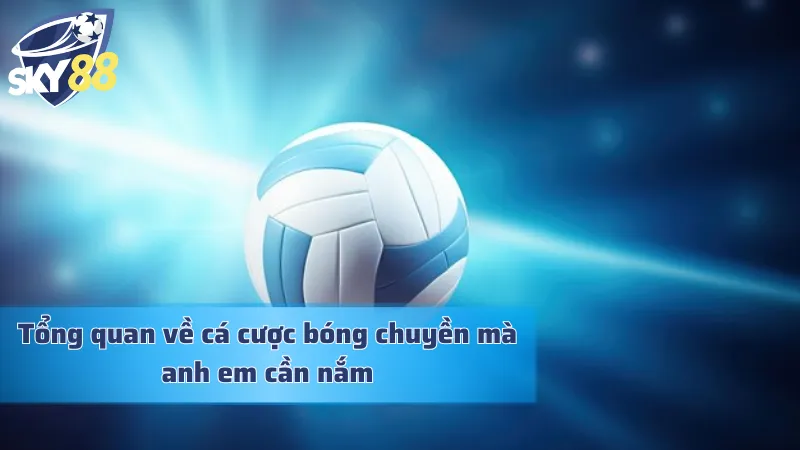 Cá Cược Bóng Chuyền: Thiên Đường Làm Giàu Nhanh Chóng Những nét cơ bản về cá cược bóng chuyền