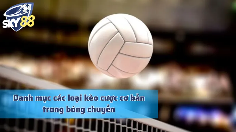 Cá Cược Bóng Chuyền: Thiên Đường Làm Giàu Nhanh Chóng Đa dạng các loài kèo cá cược bóng chuyền