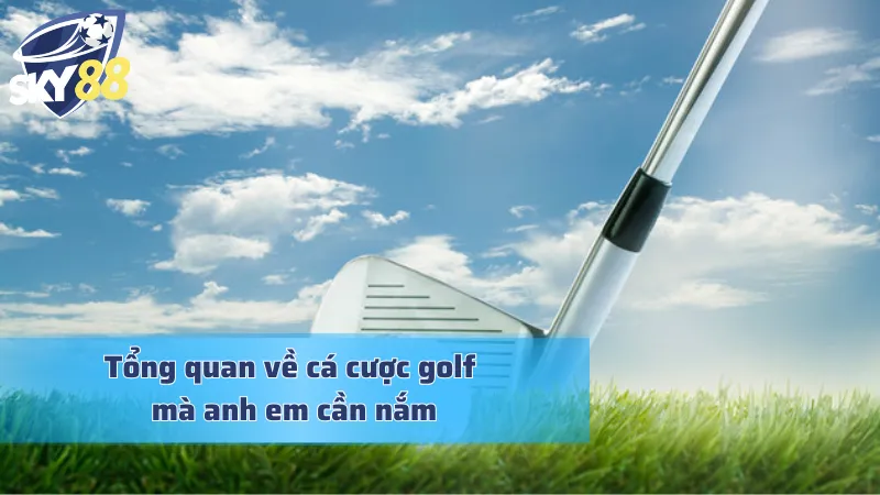 Cá Cược Golf - Sức Hấp Dẫn Mà Cược Thủ Không Thể Từ Chối Những nét cơ bản về cá cược golf