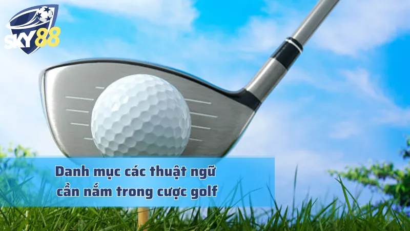 Cá Cược Golf - Sức Hấp Dẫn Mà Cược Thủ Không Thể Từ Chối Các thuật ngữ cần nắm trong cá cược golf