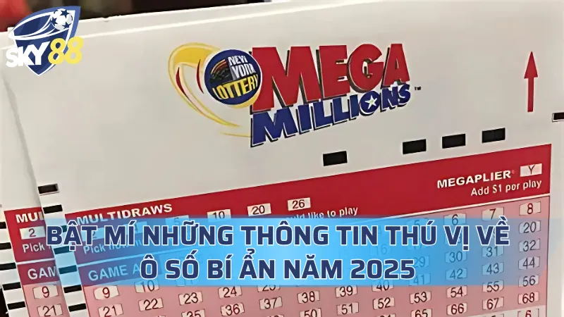 Bật Mí Những Thông Tin Thú Vị Về Ô Số Bí Ẩn Năm 2025 Ô Số Bí Ẩn