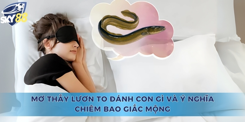 Mơ Thấy Lươn To Đánh Con Gì Và Ý Nghĩa Chiêm Bao Giấc Mộng Mơ Thấy Lươn To Đánh Con Gì