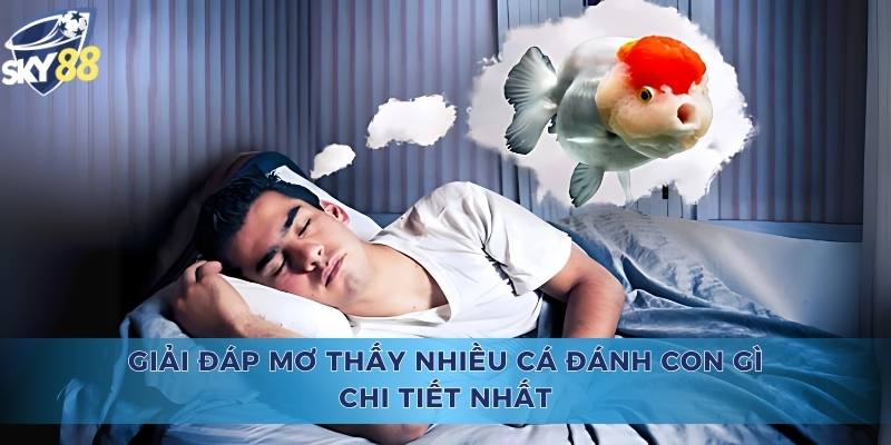 Giải Đáp Mơ Thấy Nhiều Cá Đánh Con Gì Chi Tiết Nhất Mơ thấy nhiều cá đánh con gì