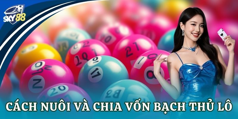 Bạch thủ lô: Bí quyết soi cầu chuẩn cho dân chơi 2025 Cách nuôi và chia vốn bạch thủ lô